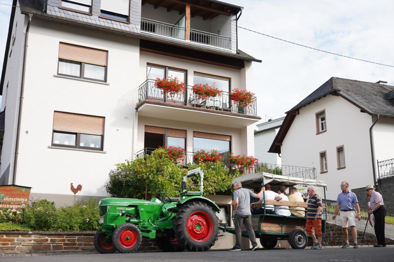 Ferienweingut Hirschen Schulstrasse Bed & Breakfast Burg  Exterior photo