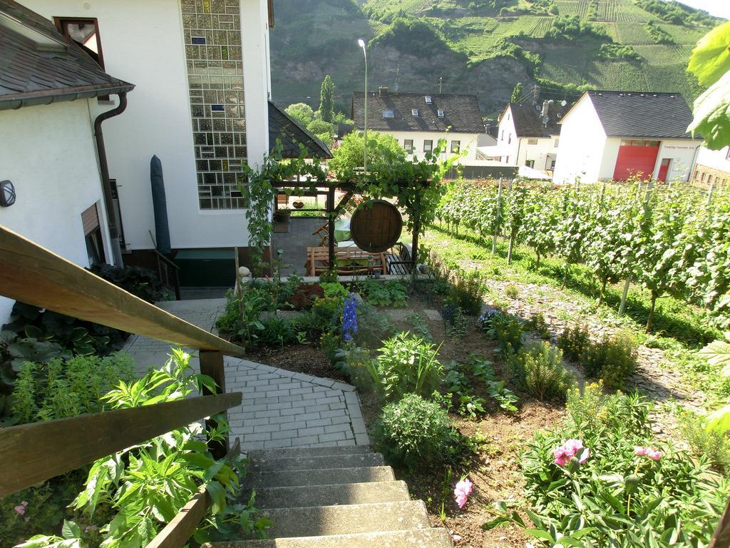 Ferienweingut Hirschen Schulstrasse Bed & Breakfast Burg  Exterior photo