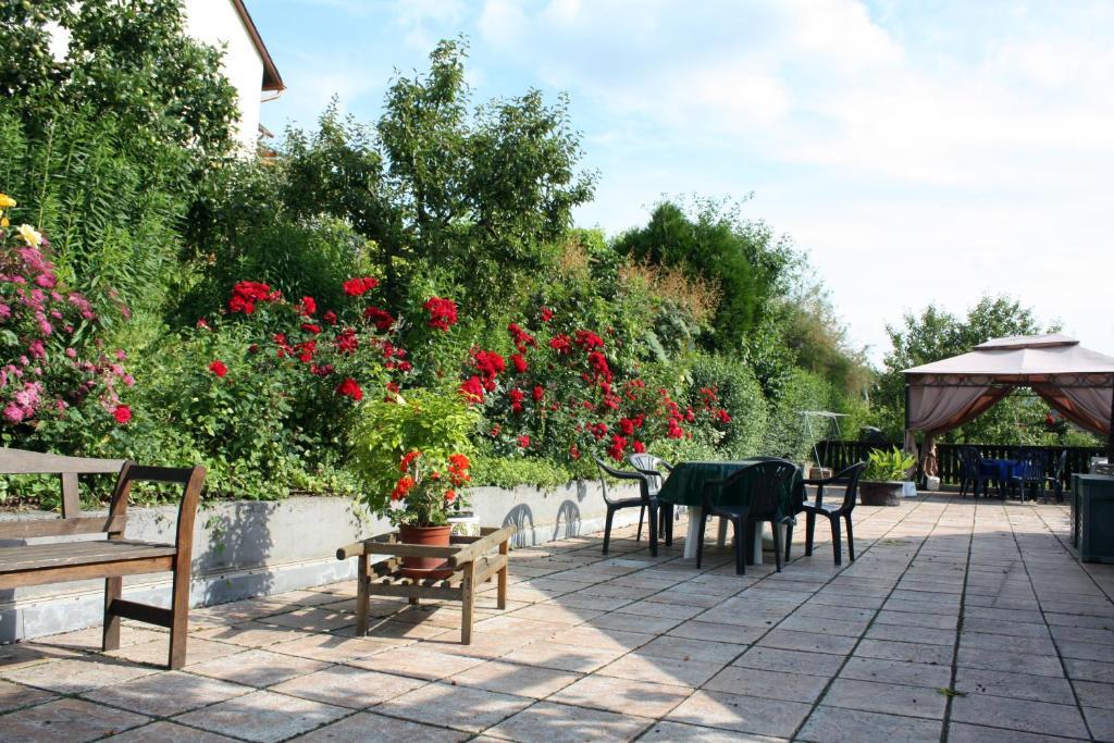 Ferienweingut Hirschen Schulstrasse Bed & Breakfast Burg  Exterior photo