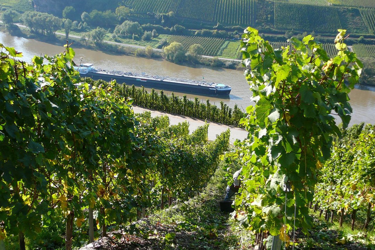 Ferienweingut Hirschen Schulstrasse Bed & Breakfast Burg  Exterior photo